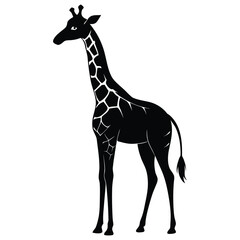 Obraz premium Elegant Giraffe Silhouette – Black and White Wildlife Vector