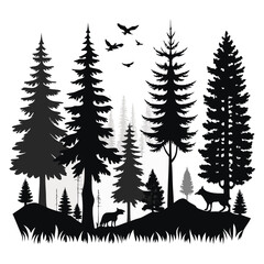 Fototapeta premium Black Silhouette of Pine Trees in Forest