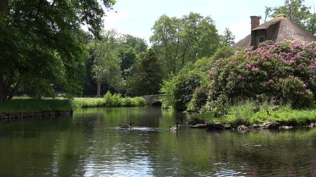 Vue sur un cours d'eau de marais verdoyant &agrave; Rambouillet