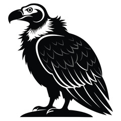 Obraz premium Majestic Black and White Vulture Illustration Powerful Bird of Prey