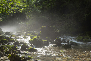The fantastical Maruhara River mountain stream shrouded in morning mist and the quiet morning before the rays of light begin