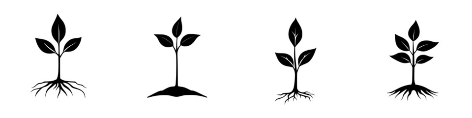 Illustration of black icons depicting various stages of plant growth from seedling to maturity in a simple and minimalistic style