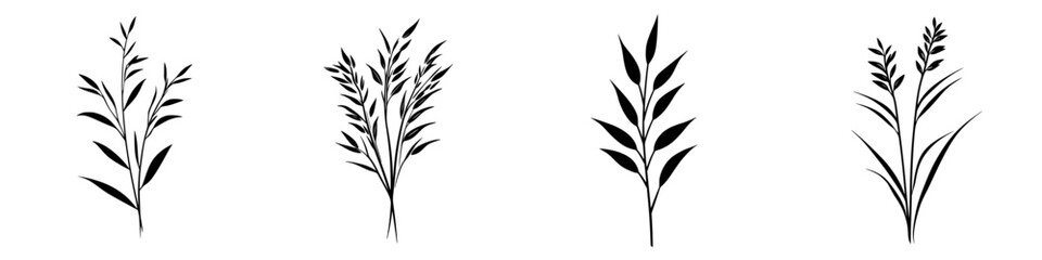 Fototapeta premium Various black plant icons displaying different leaf shapes and arrangements for design or illustration purposes in a minimalistic style