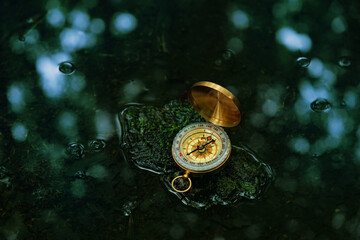 compass in puddle in rain forest, dark nature abstract background. Navigation Orientation concept...