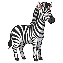 Obraz premium Stripped zebra vector illustration, a wildlife mammal isolated on white background