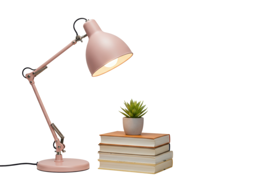 Isolated Pink Desk Lamp on Books with Small Potted Plant