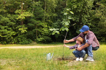 Father and his son planting tree into soil outdoors, space for text