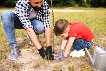 Father and his son planting tree into soil outdoors
