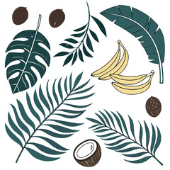 Tropical leaves and fruits illustration