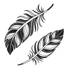 Obraz premium Two stylized feathers graphic design
