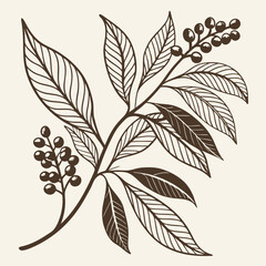 Fototapeta premium Vintage botanical branch illustration