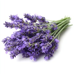 Lavender bouquet on a white background showcasing delicate purple blooms and green stems