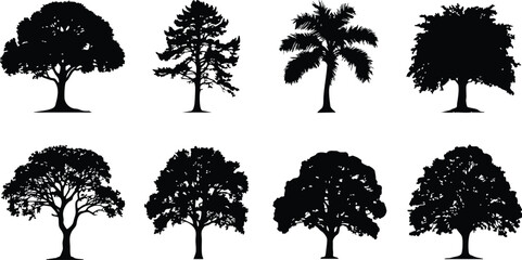 Tree silhouette set featuring oak, pine, palm, maple, and bare winter trees, perfect for nature, landscape, and environmental themes, bold black vector shapes on white background, ideal for posters, i