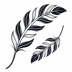 Obraz premium Set of black and white leaves and branches