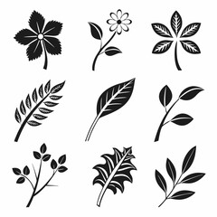 Set of black outline leaves and plants