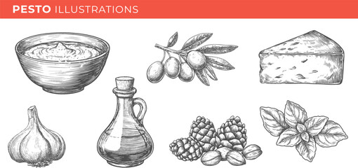 Set illustration of pesto sauce isolated on transparent background. Vector graphics