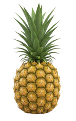 Fototapeta premium Fresh pineapple with vibrant green leaves ready for culinary use isolated on transparent bg, cutout png