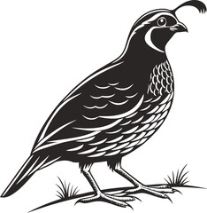 Peaceful Dove Bird Vector Illustration in Silhouette Style