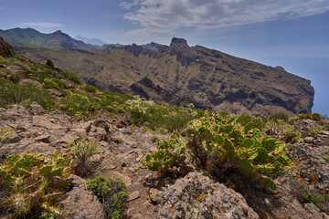 Teno ridges and volcanic cliffs