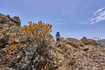 Hiker descending trail in Teno mountains