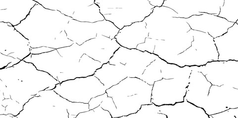 A stark, high-contrast black and white texture resembling cracked earth or shattered glass, showcasing an intricate network of irregular lines against a pristine white background. 