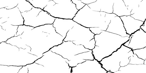 A stark, high-contrast black and white texture resembling cracked earth or shattered glass, showcasing an intricate network of irregular lines against a pristine white background. 