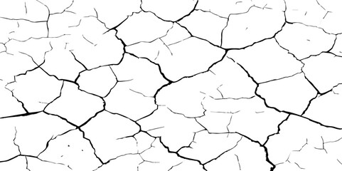 A stark, high-contrast black and white texture resembling cracked earth or shattered glass, showcasing an intricate network of irregular lines against a pristine white background. 