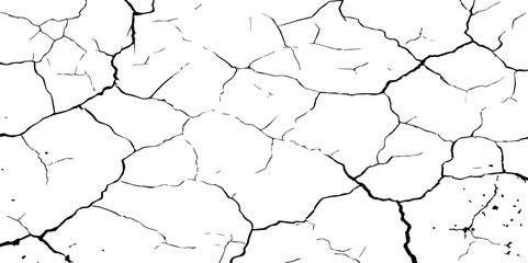A stark, high-contrast black and white texture resembling cracked earth or shattered glass, showcasing an intricate network of irregular lines against a pristine white background. 