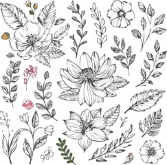 Seamless floral pattern with vintage flowers and leaves, perfect for textile design or decorative wallpaper