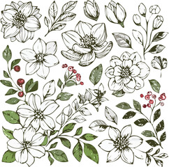 Seamless floral pattern with vintage flowers and leaves, perfect for textile design or decorative wallpaper