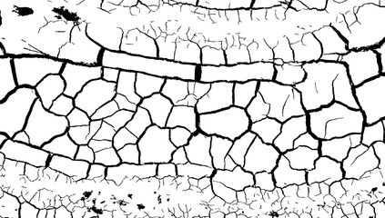 Ground cracks vector, Black and white graphics of a cracked texture, Earth cracks vector texture, Grunge texture, Crack ground texture for an abstract background