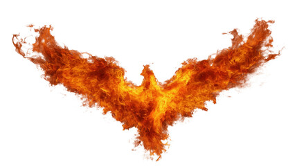 Flowing flame like a fiery phoenix soars upward with blazing wings and tail with transparent background