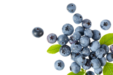 fresh blueberries with leaves corner frame top view isolated on white or transparent png