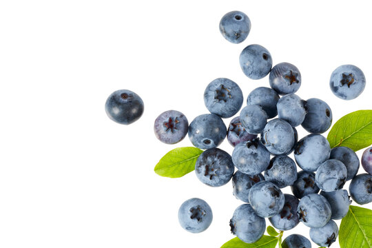 Blueberries Top View Images – Browse 299,803 Stock Photos, Vectors, and ...