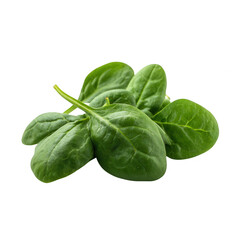 Fototapeta premium Fresh green spinach leaves on a white isolated background, showcasing their vibrant color and healthy appearance.