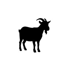 goat vector illustration