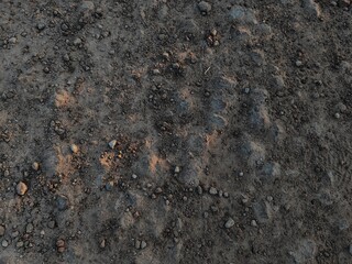 A pile of dry dirt with small scattered rocks.