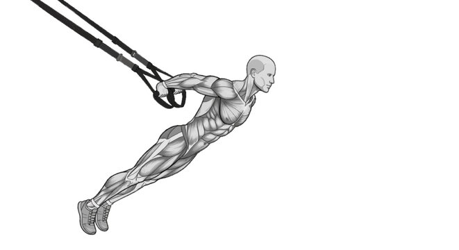 TRX suspension training vector human pose