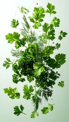 Naklejka premium Fresh Herb Medley An Overhead View of Parsley, Dill, and Kale Against a Light Green Backdrop, Perfect for Culinary Projects