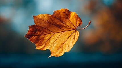 Dried leaf drop on the floor from the tree autumn leaf closeup in nature capturing the essence of a falling leaf