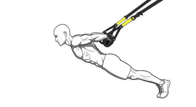 TRX suspension training vector human pose