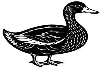 Vector art of silhouette of  duck isolated on white