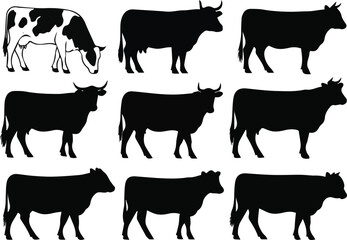 Isolated a kinds of deferent  cow vector art silhouette with white background.