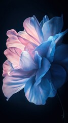 blue and white flower