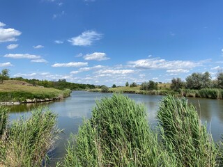 View from the sedge thickets on the smooth water surface of the Moskovka river that quietly carries its waters through the Zaporizhzhia boundless fields.