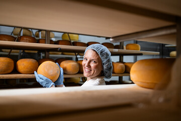 Experienced food worker producing premium quality cheese. Checking ripening status between shelves...