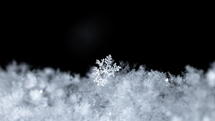 natural snowflakes on snow, winter
