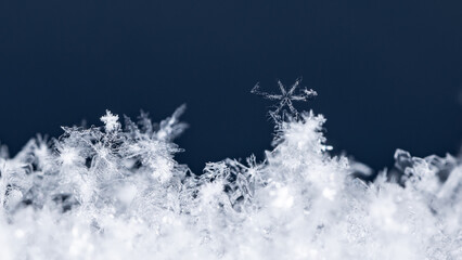 natural snowflakes on snow, winter
