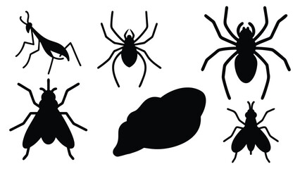 vector set of spider