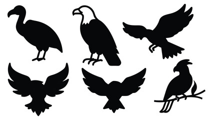 Bird Silhouette Vector Set – Eagles, Owls, Parrots, and Flying Birds in Black Icons